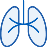 Ventilation <br>modes